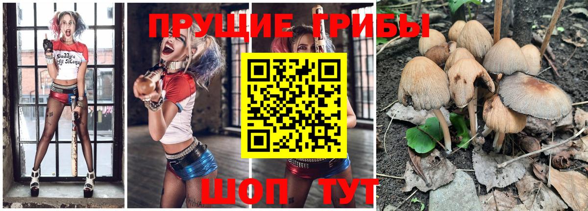 Галлюциногенные грибы Psilocybine cubensis  Вход с VPN  Мирный  купить наркотики цена  Галлюциногенные грибы прущие грибы 