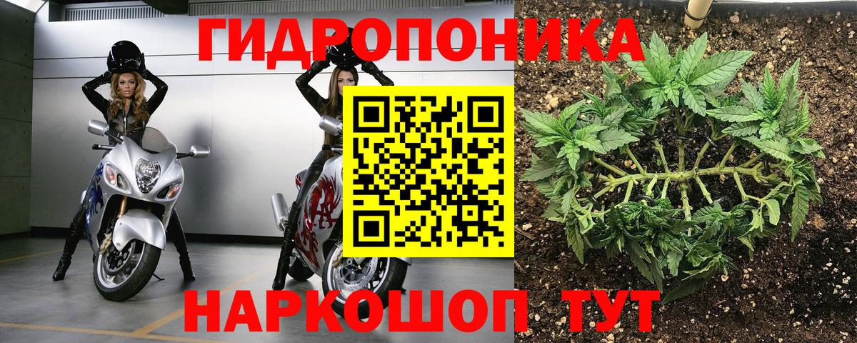 Канабис гибрид Мирный