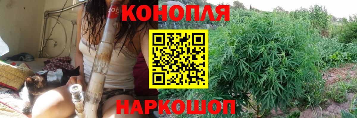 Бошки марихуана SATIVA & INDICA  Бошки марихуана индика  Мирный  Вход с VPN  Канабис White Widow 